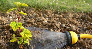 autres solutions solution recuperateur d'eau arrosage