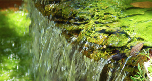 eau une ressource precieuse eau recupere c est ecologique et economique